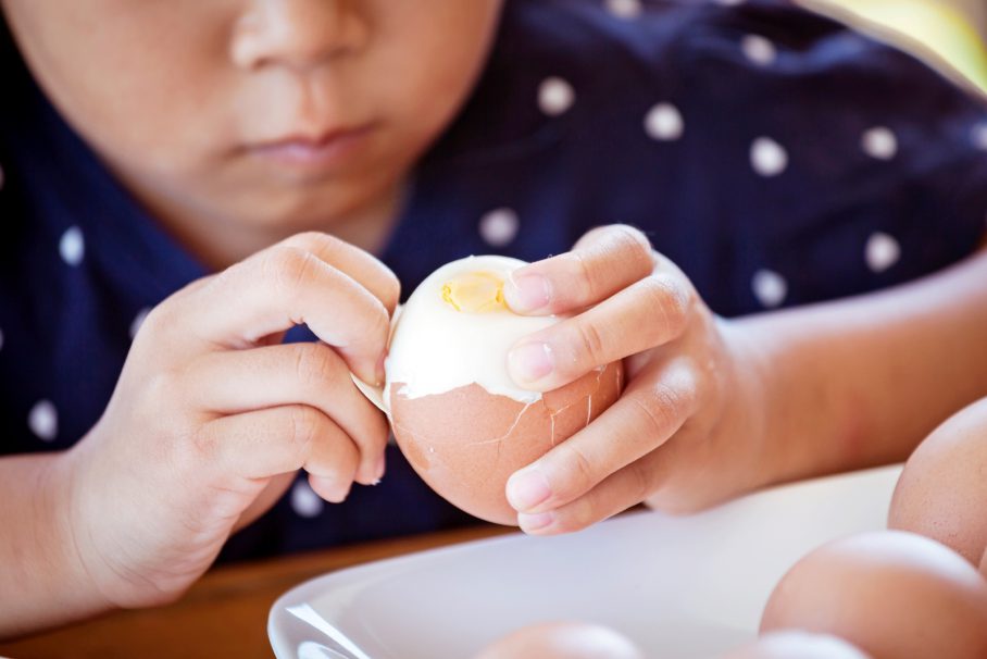 กุมารแพทย์ แนะโปรตีนจากไข่และเนื้อสัตว์สำคัญ เด็กควรกินไข่ให้ได้วันละ 1 ฟอง